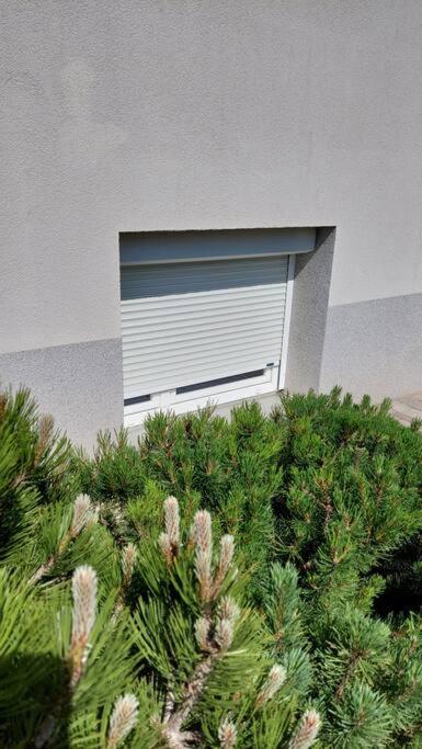 City Lodge Pine, Free Parking Ljubljana Dış mekan fotoğraf